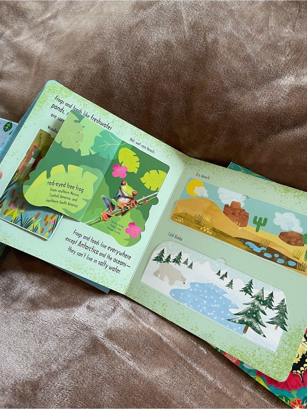 DK Kids Books Watch Me Grow Collection Nature Exploration Lifecycle Early Reader - Picture 8 of 13